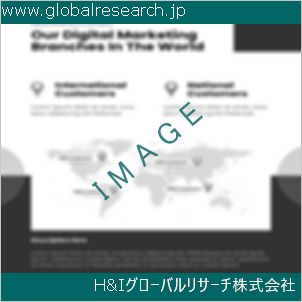 グローバルリサーチ調査資料のイメージ